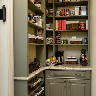 75 Beautiful Kitchen Pantry With Green Cabinets Pictures Ideas