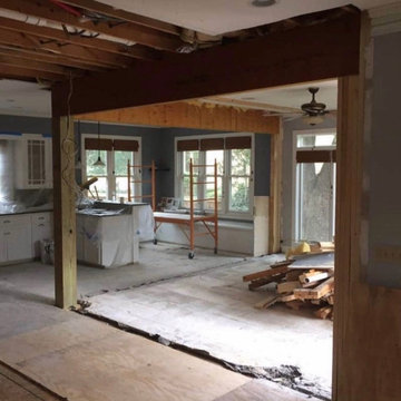 Ameer kitchen and living area removal load bearing wall