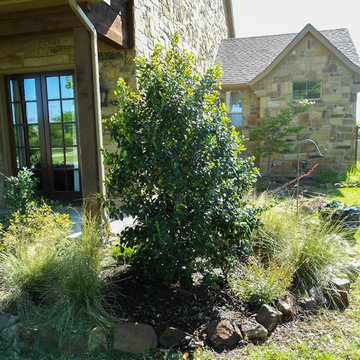 Nellie R. Stevens Shrub