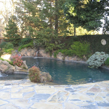 Ultimate Pools by Fetter - Lagoon Style Pools