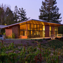 shingle roof