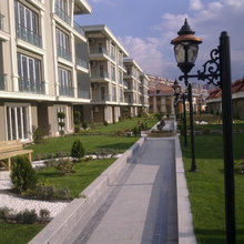 Ali Demirel