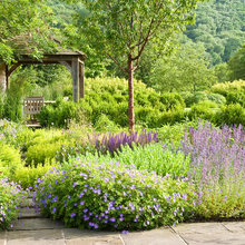 Exterior Ideas