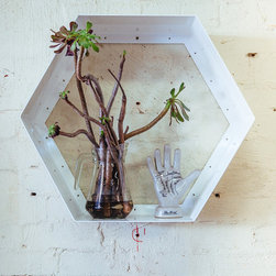 Hive Shelving - Products