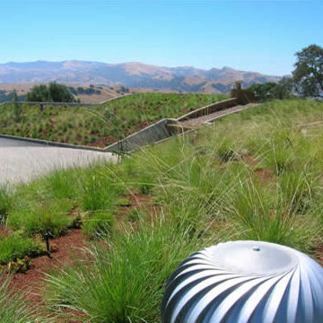 Foothill Drive
