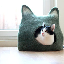 Cats.