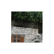 Amal Akel's photo