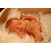 Victoria Smith's photo