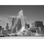 Bobbie Marek's photo