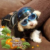 Debi Crowder's photo