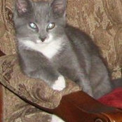 Deb Wigginss foto