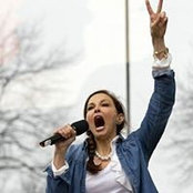 Kousha Zarnegar's photo