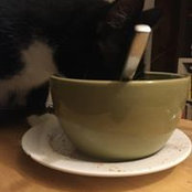 Amy Crowley's photo