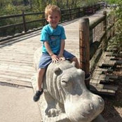 Debbie Dodson McCracken's photo