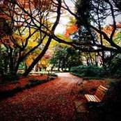 Shuhui Kwok's photo