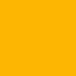 Goldfinch - Paint