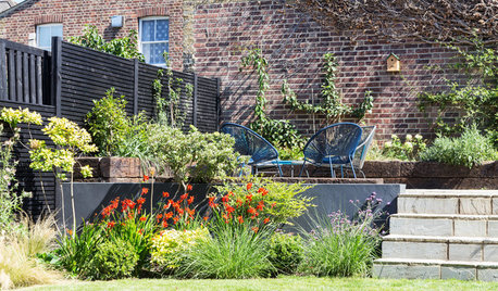 Houzz Tour: Midcentury Flavors in a London Victorian