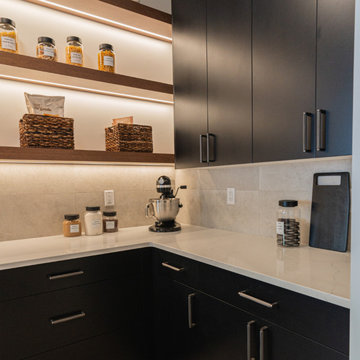 Kitchen Cabinets