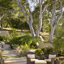 Patio Ideas