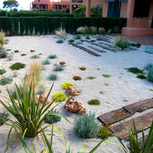 5 Olive Landscaping