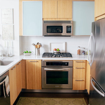 Tribeca Apartment