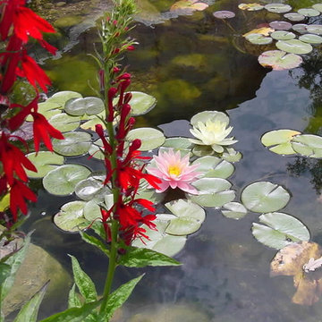 Ponds, Waterfalls & Water Features