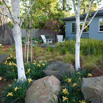 Oakland Hill Top HIdeaway Garden