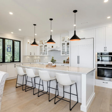 Armitage Avenue Custom Home - Kitchen