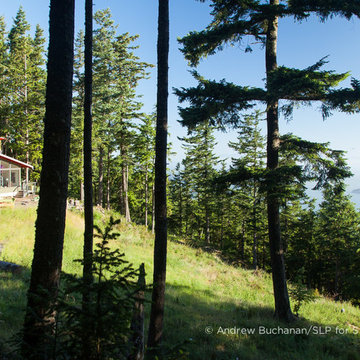 Orcas Island Mountaintop home