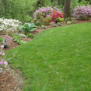Belmont NC residential landscape