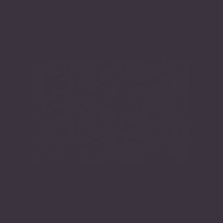 Dulux Dark Aubergine - Paint