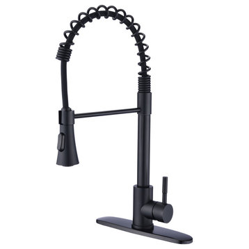 Givingtree Kitchen Sink Faucet with Deck Plate Matte Black