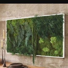 Preserved Wall Gardens