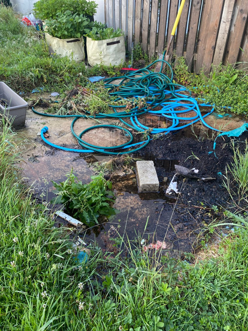 Water logging on concrete area Houzz UK