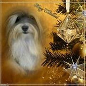 Cara Rutzel's photo