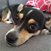 Nyree Oshiro's photo