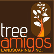 Tree Amigos Landscaping Inc's photo