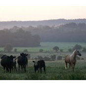 Polly Pickard's photo