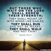 Nicholas Seymore's photo