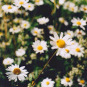 Rissa Chang's photo