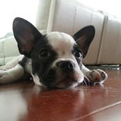Chad Bryant's photo