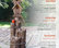 35" Tall Outdoor 3-Tier Birdhouse Water Fountain Yard Art Decor