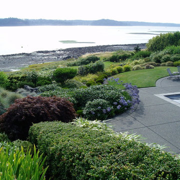 Back Yards
