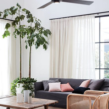 Ceiling Fans