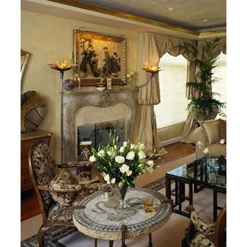 Transitional Elegant Living Room