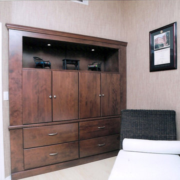 Entertainment Centers & Built-in Niches