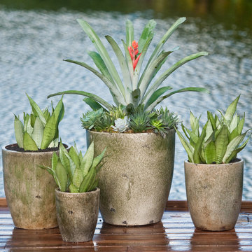 Palm Beach Container Gardens