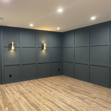Basement Project - Canton, GA