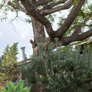 ENCINITAS – COX RESIDENCE