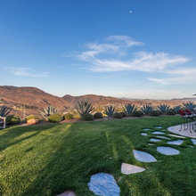 Steve Landscape
